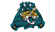 jaguars 1