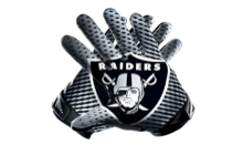 raiders updated logo 1